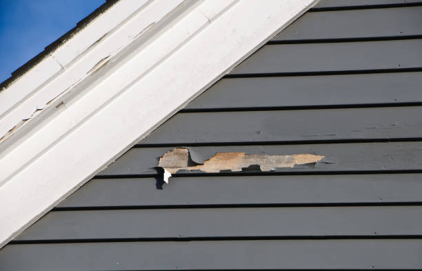 Best Siding Removal and Disposal  in Medical Lake, WA